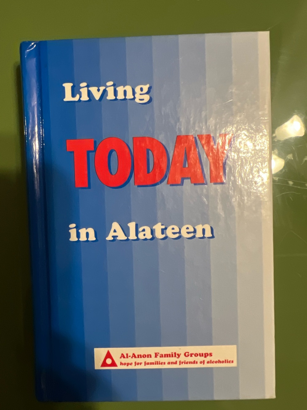 Living Today in Alateen Book - Blue/Red